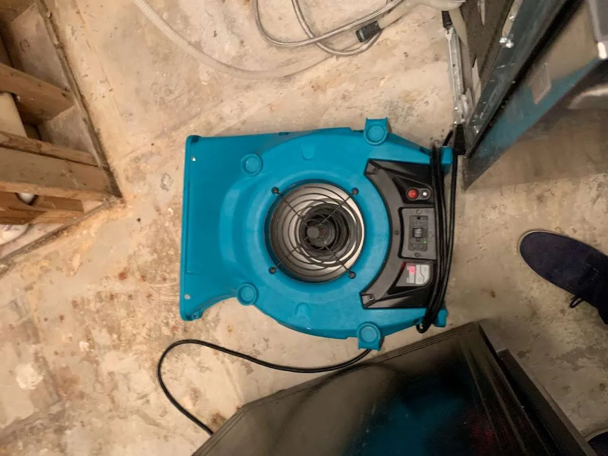 Air mover drying equipment for Mold Remediation & Removal in Elk Grove